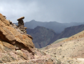 ladakh markha trek